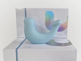 女生不入体的玩具怎么选择?大人糖小海豹吮吸刮剐蹭不一样的感觉