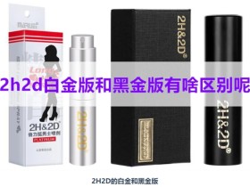 2h2d白金版与黑金版有啥区别